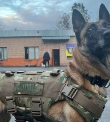У Києві поліція відкрила кінологічний гурток - чому навчатимуть учасників