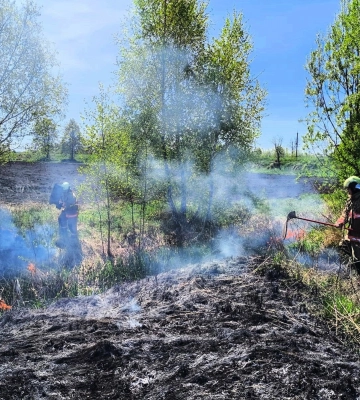 На Волині за добу загасили 10 пожеж, з них 7 — в екосистемах