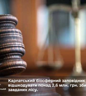 На Закарпатті природоохоронна установа має сплатити 2,6 млн грн штрафу за незаконну вирубку на території заповідника