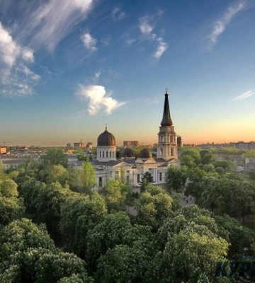 Одеська мерія витратить мільйон гривень на вакцинацію каштанів