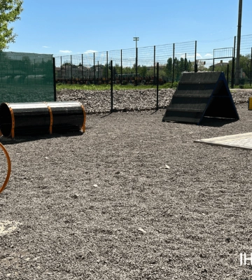 Пів мільйона гривень на комфорт хвостатих: в Івано-Франківську облаштували майданчик для вигулу собак