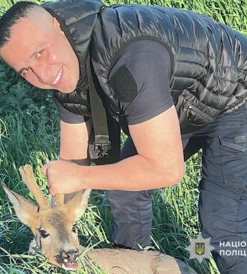 На Дніпропетровщині небайдужі поліцейські врятували життя пораненій косулі. ФОТО