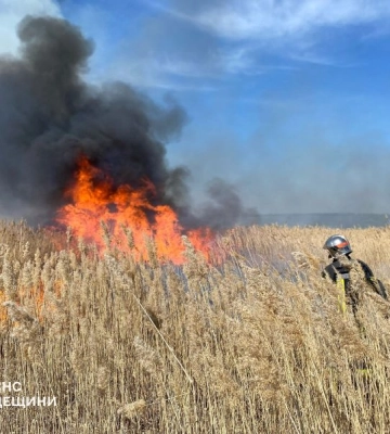 На Одещині сталася масштабна пожежа