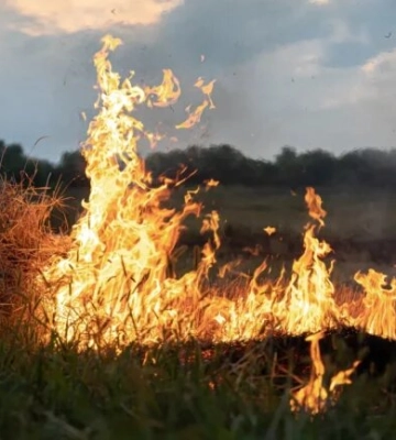 На Закарпатті оголошено надзвичайний рівень пожежної небезпеки