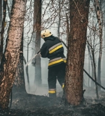 На Волині загорівся ліс, суха трава і чагарники