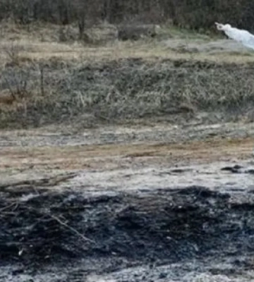 Донбасс утопает в шахтных водах и нечистотах