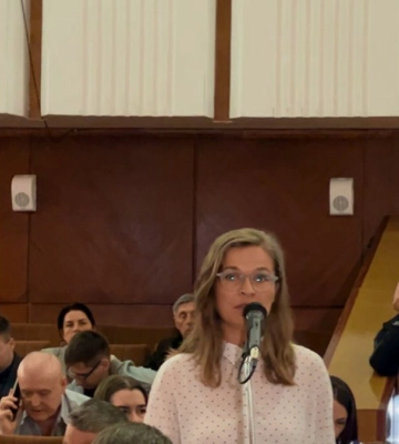 Під час сесії архітекторка закликала припинити варварське обрізання дерев у Франківську: міськрада апелює до безпеки