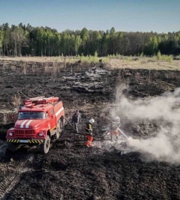 На Львівщині згоріли 11 дачних будинків через підпал сухостою