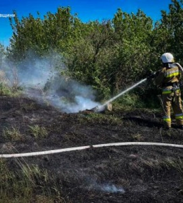 За добу — 11 пожеж на Миколаївщині: дим у багатоповерхівці та вогонь на сміттєзвалищі