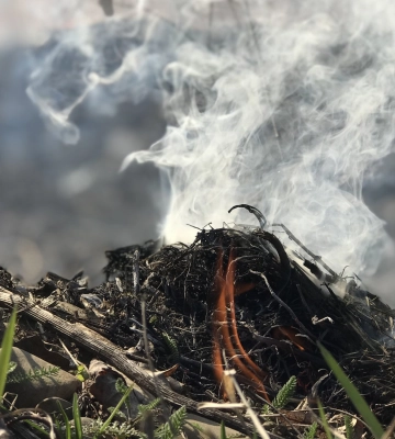У перший день травня на Львівщині очікується висока пожежна небезпека