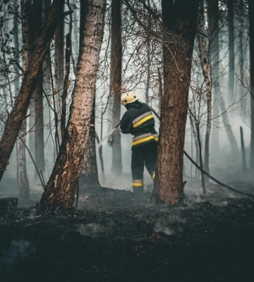 На Волині загорівся ліс, суха трава і чагарники