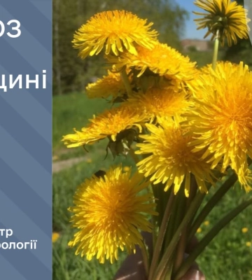 Синоптики попереджають про сильні пориви вітру на Рівненщині