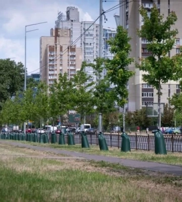 Київ продовжить використовувати торби для поливу дерев: як вони працюють