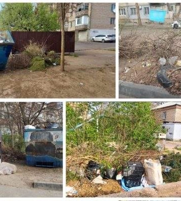 У Миколаєві як гриби після дощу з'являються стихійні сміттєзвалища
