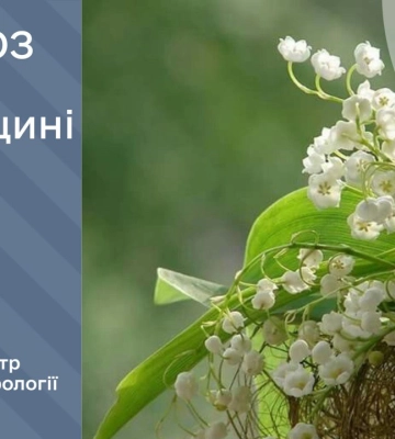 Найближчої ночі на Харківщині прогнозують заморозки на поверхні ґрунту