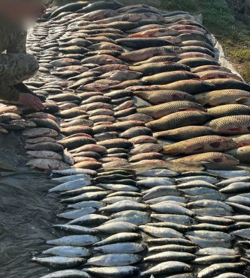 Мешканець Одеського району незаконно порибалив більше ніж на півмільйона гривень