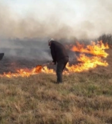 У гідрологічному заказнику на Волині загорілися чагарники та болотна рослинність