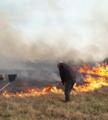 У нацпарку на Волині виявили нові локації метеликів