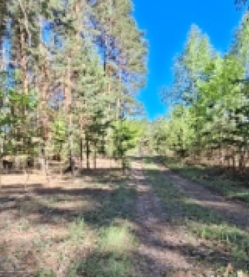 На Полтавщині провели LIDAR-зйомку на кургані «Вітова Могила»