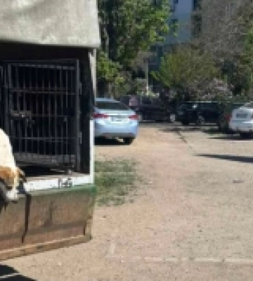 Поліція повідомила про підозру водієві, який травмував пішохода в Білгороді-Дністровському