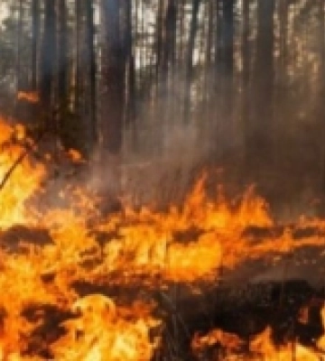 На Рівненщині люди спричинили понад 800 пожеж