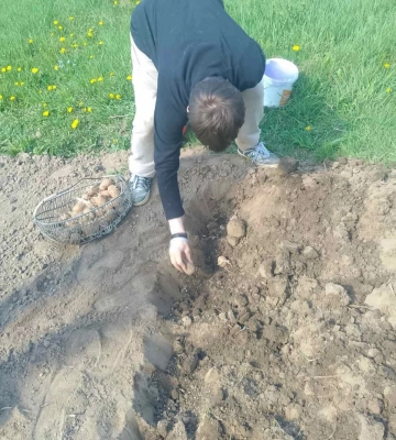 Краяни вийшли у городи. Скільки коштує засадити ділянку