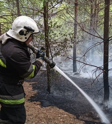 Вогнеборці Сумщини 6 разів ліквідовували загоряння сухої рослинності