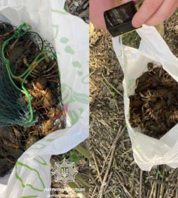 У Дніпрі водний патруль виявив браконьєра: подробиці