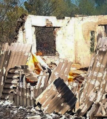 На Львівщині згоріли 11 дачних будинків через підпал сухостою
