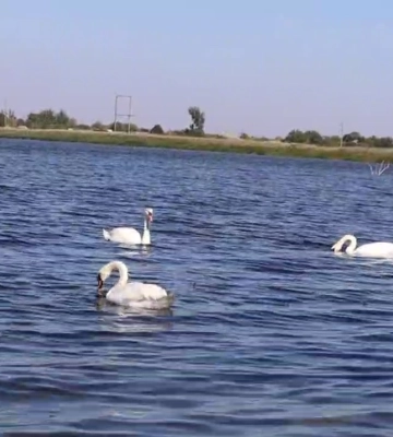 Техногенна катастрофа скасовується: у водосховище Харківської області, що пересихає, пішла вода