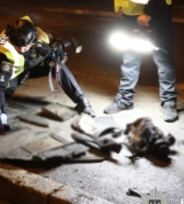 Повітряні сили ліквідували 77 безпілотників, випущених Росією