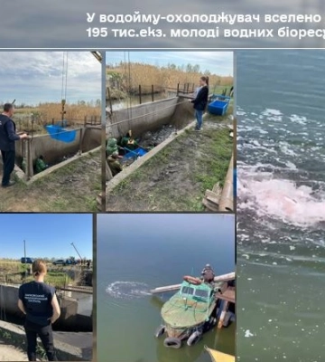 В водоем на Харьковщине выпустили более 195 тысяч рыб: подробности