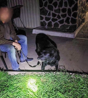 В Одесі чоловік звалився в яму під час прогулянки з собакою