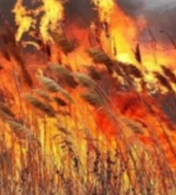Рятувальники Рівненщини ліквідували 10 пожеж, що охопили понад 7 гектарів
