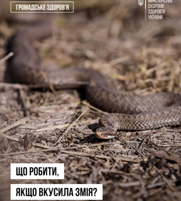 В Індії у шкільний обід потрапила змія
