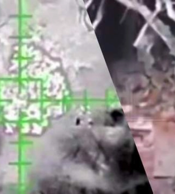 &quot;Баба Яга&quot; розгромила росіян на Харківщині: відео успішної роботи вітчизняного дрона