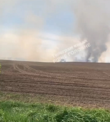 Горіли очерет, чагарники та суха трава: за добу на Волині приборкали п’ять пожеж