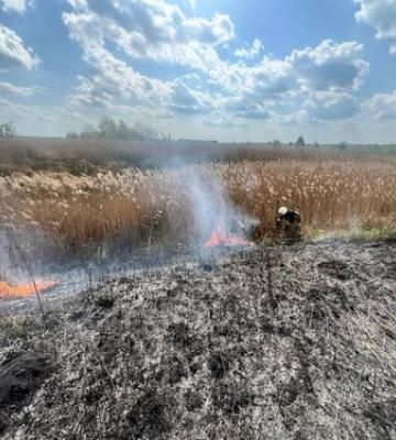 Пожежі на Рівненщині за добу знищили понад 1,5 гектара землі