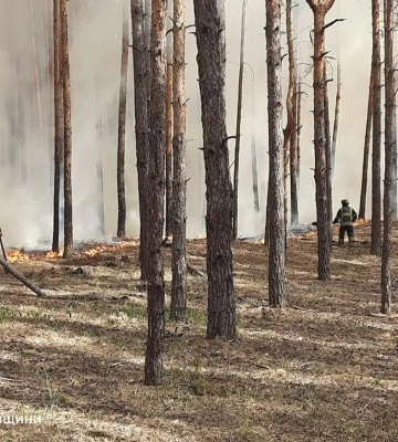 Генштаб ЗСУ: на Покровському напрямку окупанти 68 разів атакували позиції Сил оборони