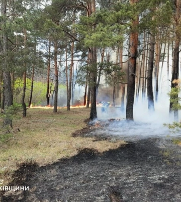 Рашисти вдарили з РСЗВ по лісових масивах на Харківщині