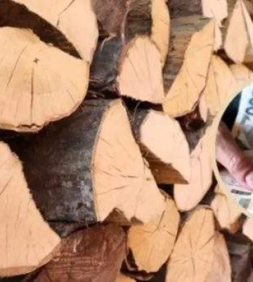Мільйонні розкрадання на обороні: у Миколаєві викрили аферу із завищенням цін на деревину для ЗСУ