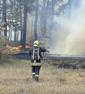 На Харківщині пожежа через детонацію боєприпасів охопила 20 га
