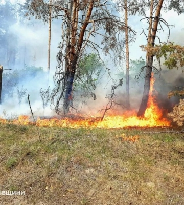 На Харківщині пожежа через детонацію боєприпасів охопила 20 гектарів