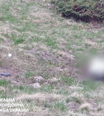 Трагічна знахідка біля кордону: на Закарпатті виявлено тіло людини зі слідами розкладання