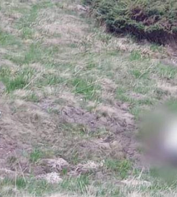 На Закарпатье пограничники наткнулись на жуткую находку