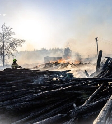 На околицях Ізюму горять гектари лісу