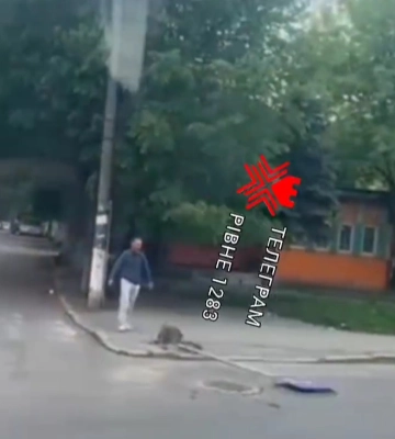 Хуліган у Рівному напав на дорожній знак (ВІДЕО)