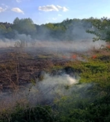 На Волині внаслідок ДТП постраждали 2 людини