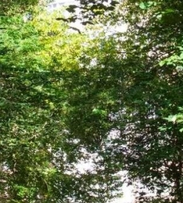 У Львові створили новий парк