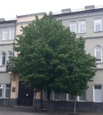 Волинський медінститут отримає 1,7 мільйона гривень для оновлення навчально-наукового центру